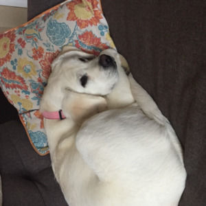 Meet your Posher, Maureen